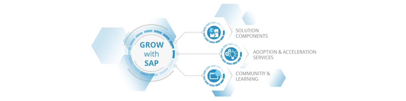 Grow with SAP Grow with SAP